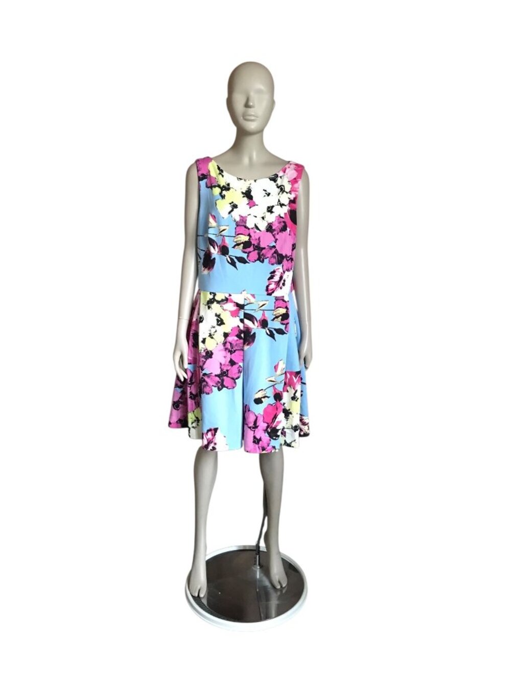Taylor Blue and Pink Floral Fit and Flare Dress